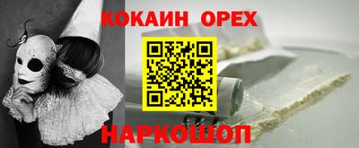 тгк Кингисепп