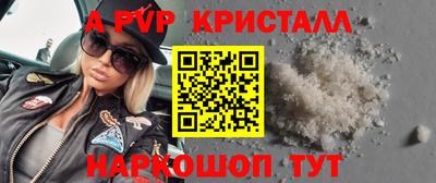 тгк Кингисепп
