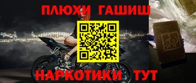 тгк Кингисепп