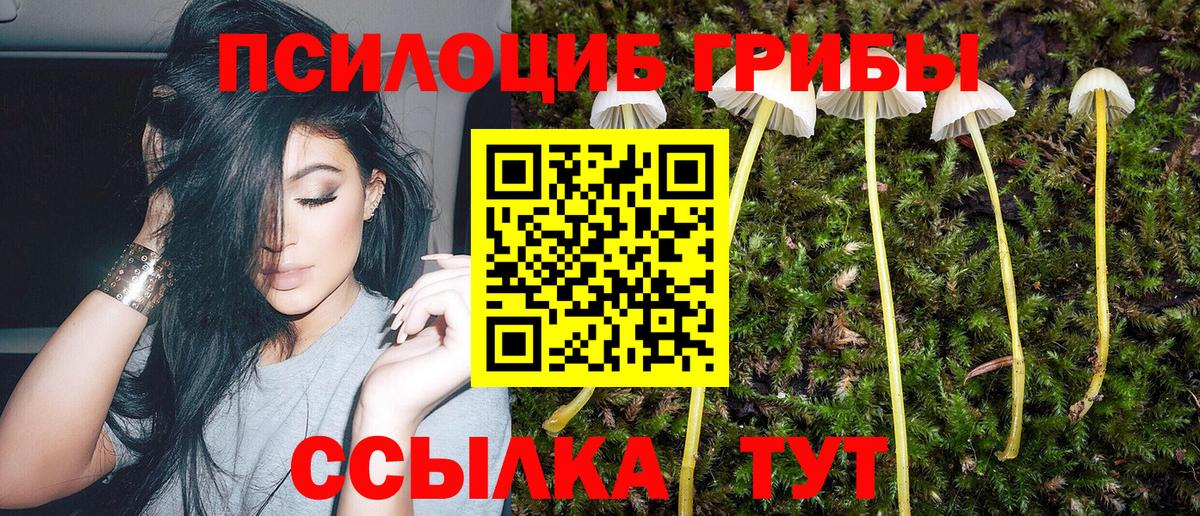 Псилоцибиновые грибы MAGIC MUSHROOMS Кузнецк