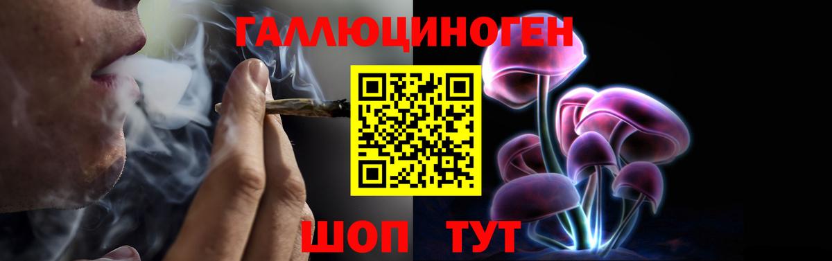 купить наркотики сайты  Вход с VPN  Кузнецк  Псилоцибиновые грибы Magic Shrooms 